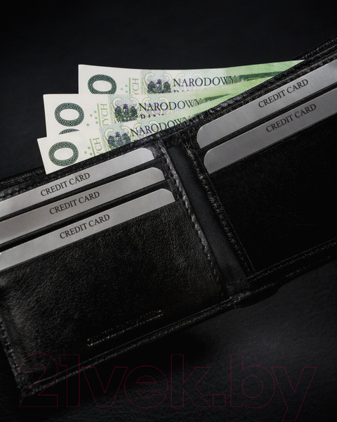 Изображение товара Портмоне Cedar Rovicky 1540-03-BOR-1263 (черный)