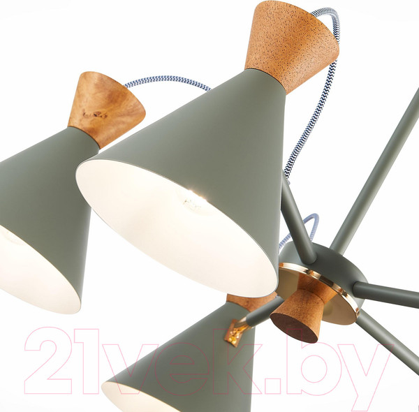 Изображение товара Люстра Evoluce Modica SLE125112-05