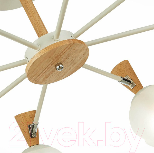 Изображение товара Люстра Evoluce Catania SLE220702-08