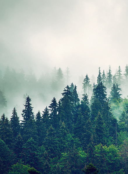 Изображение товара Фотообои листовые Arthata Fotooboi-2 (200x270)