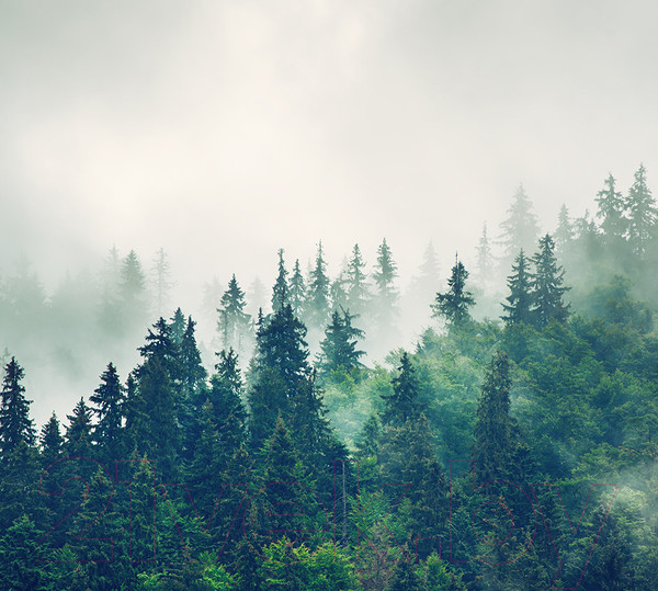 Изображение товара Фотообои листовые Arthata Fotooboi-2 (300x270)