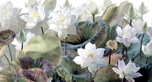 Изображение товара Фотообои листовые Arthata Fotooboi-33 (500x270)