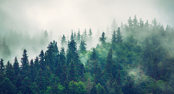 Изображение товара Фотообои листовые Arthata Fotooboi-2 (500x270)