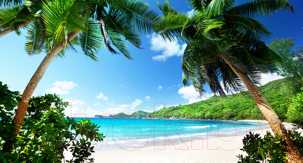 Изображение товара Фотообои листовые Arthata Fotooboi-19 (500x270)