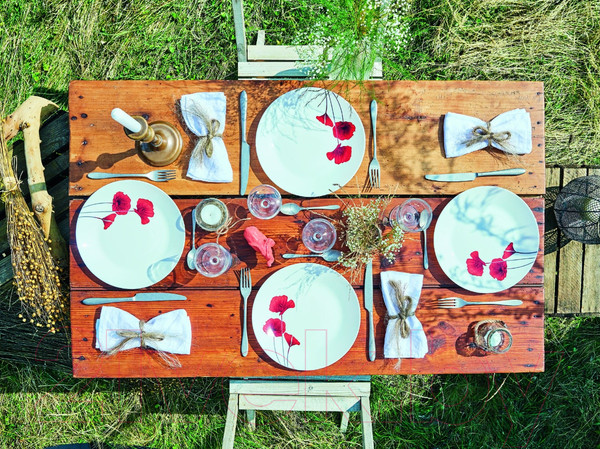 Изображение товара Тарелка закусочная (десертная) Arcopal Bertille P3233