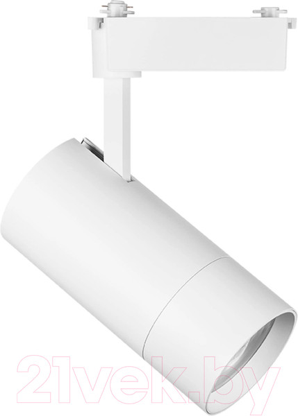 Изображение товара Трековый светильник Lightstar Volta 229446