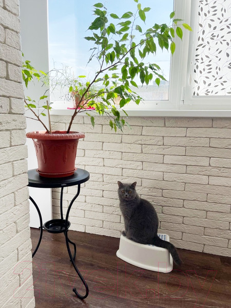 Изображение товара Журнальный столик Sheffilton SHT-CT10-1 (черный муар)