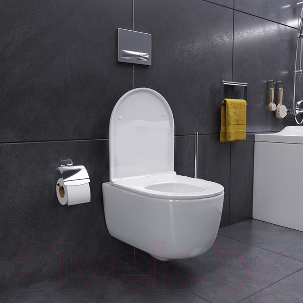 Изображение товара Унитаз подвесной Damixa DX86C1700SC