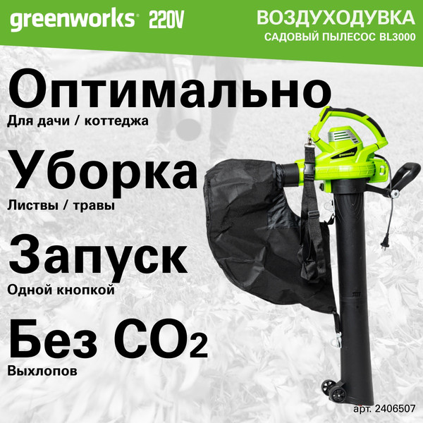 Изображение товара Воздуходувка электрическая Greenworks BL3000 (2406507)
