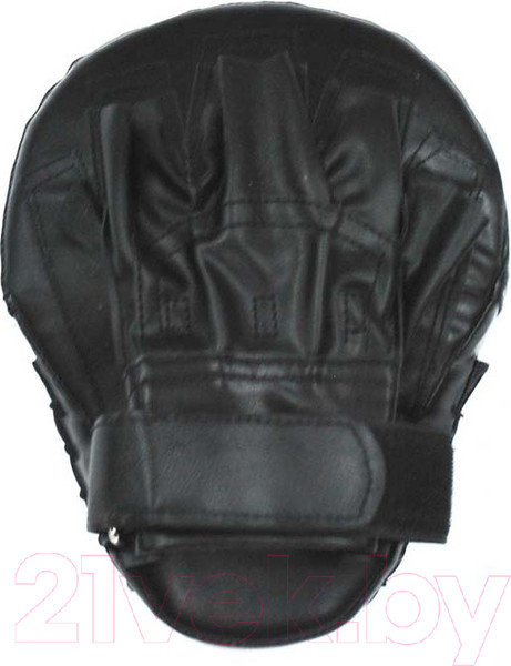 Изображение товара Боксерская лапа ZEZ Sport W8522