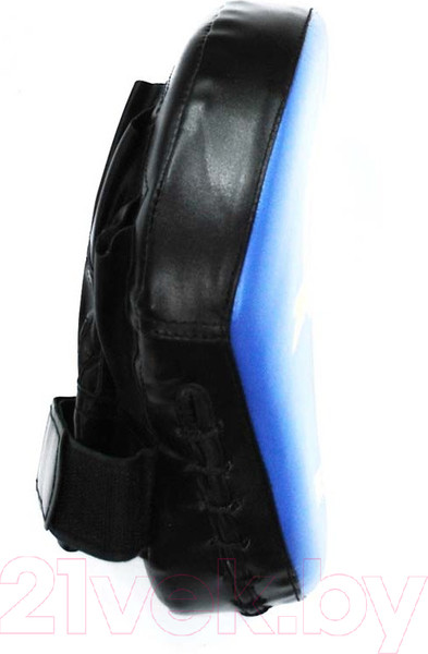 Изображение товара Боксерская лапа ZEZ Sport W8522