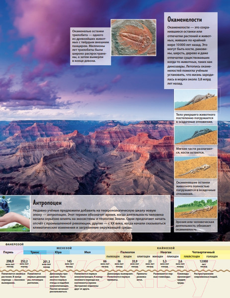 Изображение товара Энциклопедия Эксмо Земля. Виртуальная реальность (Джонсон М.)