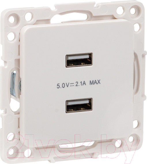 Изображение товара Розетка EKF PROxima Стокгольм EYR16-028-10-2USB (белый)