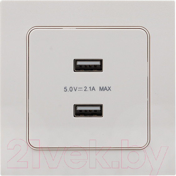 Изображение товара Розетка EKF PROxima Стокгольм EYR16-028-10-2USB (белый)