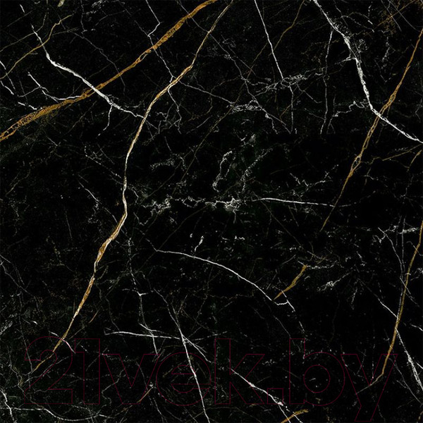 Изображение товара Плитка Opoczno Royal Black Polished OP537-002-1 (798x798)