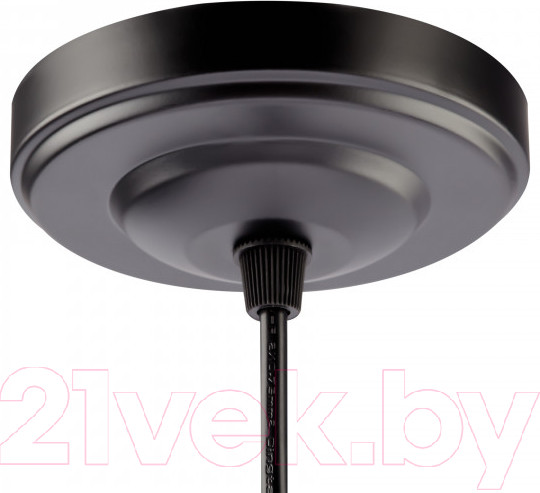 Изображение товара Потолочный светильник Rivoli Martina 5074-201 / Б0047538