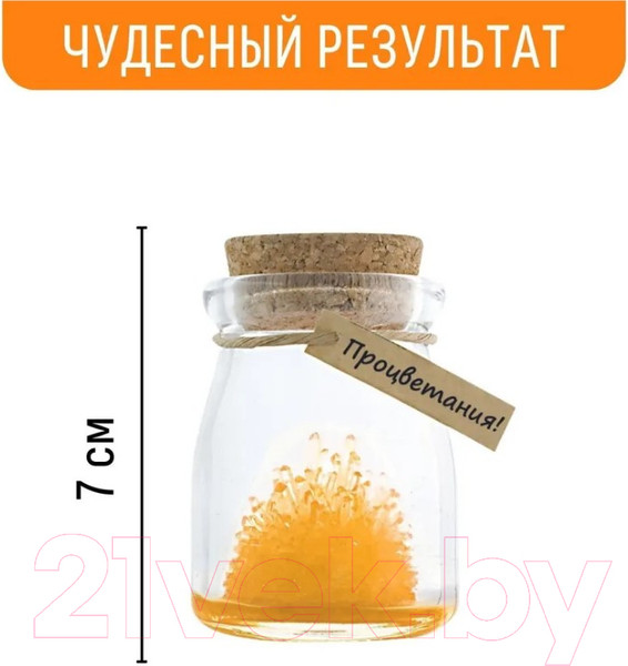 Изображение товара Набор для выращивания кристаллов Волшебный кристалл Процветания / k6