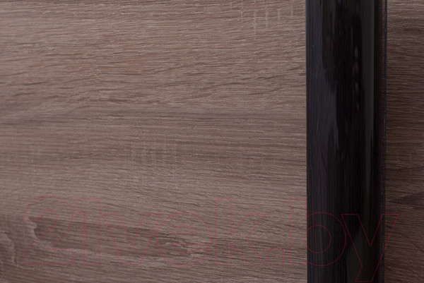 Изображение товара Шкаф-купе Евва 203 VTG.12 / АЭП ШК.3 02 (венге/дуб трюфель/венге глянец)