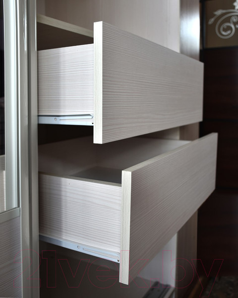 Изображение товара Шкаф-купе Евва 203 BZ.05 / АЭП ШК.3 02 (бодега/зеркало/жемчуг зерно)