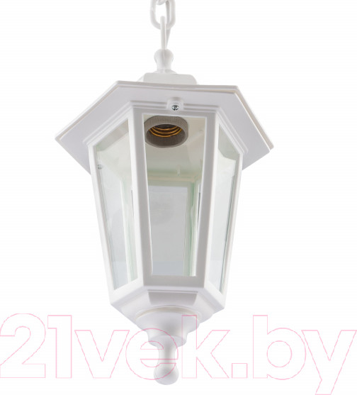 Изображение товара Светильник уличный ЭРА НСУ 06-60-001 / Б0048110