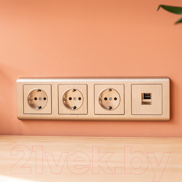 Изображение товара Розетка Werkel W1181010 / a051424 (шампань рифленый)