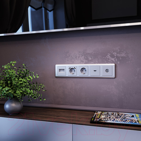 Изображение товара Розетка Werkel W1183006 / a051496 (серебристый)