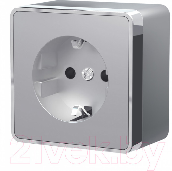 Изображение товара Розетка Werkel Gallant W5071006 / a052773 (серебристый)