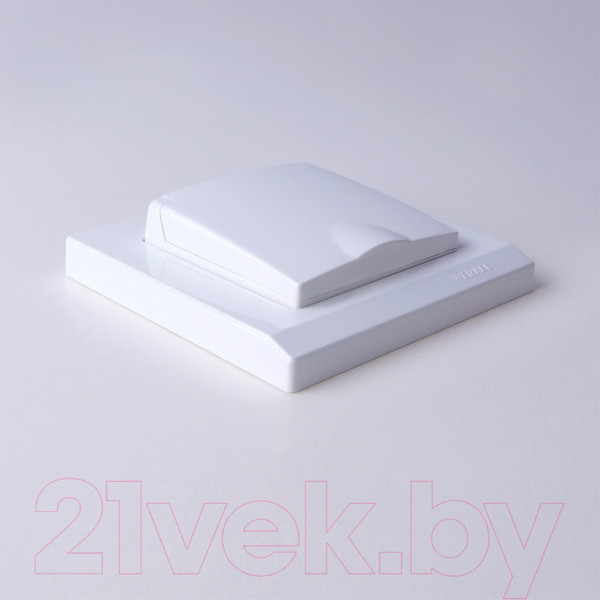 Изображение товара Розетка Werkel W1171201 / a051120 (белый)