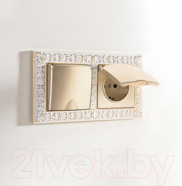 Изображение товара Розетка Werkel W1171210 / a051416 (шампань рифленый)