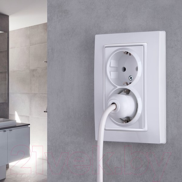 Изображение товара Розетка Werkel W1172001 / a051129 (белый)
