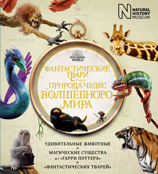 Изображение товара Книга Махаон Фантастические твари. Природа чудес волшебного мира (Файнс Р.)
