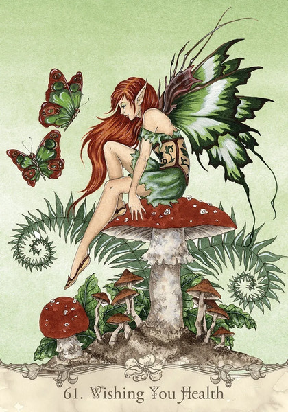 Изображение товара Гадальные карты U.S. Games Systems Fairy Wisdom Oracle Deck and Book Set / FWO64