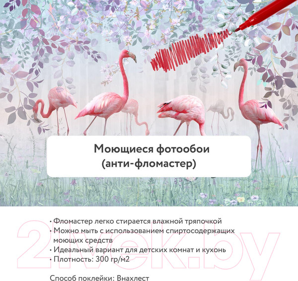 Изображение товара Фотообои листовые Citydecor Райские тропики (500x260)