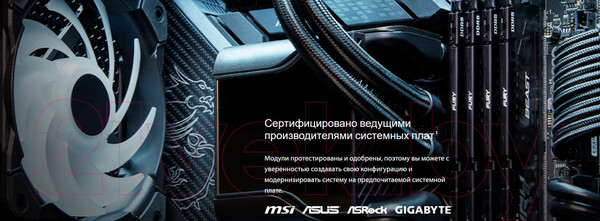 Изображение товара Оперативная память DDR5 Kingston KF556C36BBEK2-16