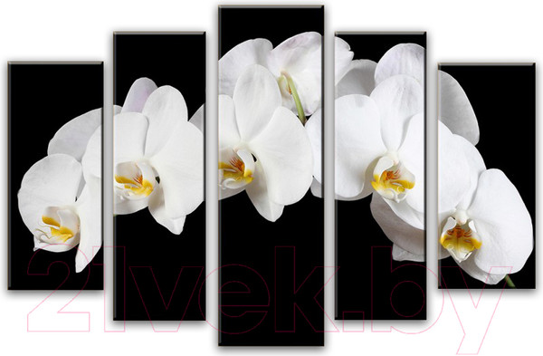 Изображение товара Картина модульная Arthata 5m-251 (130x80)