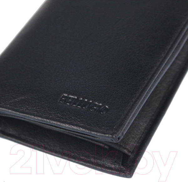 Изображение товара Портмоне Bellugio AM-01R-034