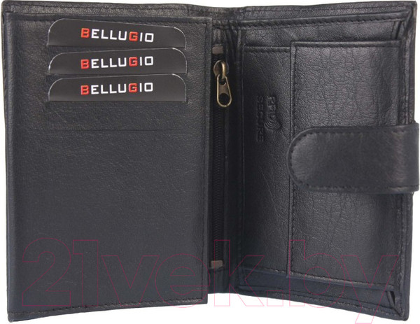 Изображение товара Портмоне Bellugio AM-01R-073
