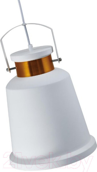 Изображение товара Потолочный светильник Moderli Done / V1451-1P