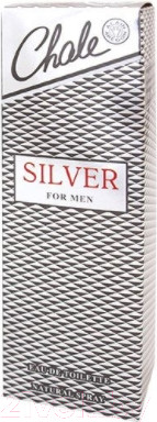 Изображение товара Туалетная вода Positive Parfum Chale Silver (100мл)