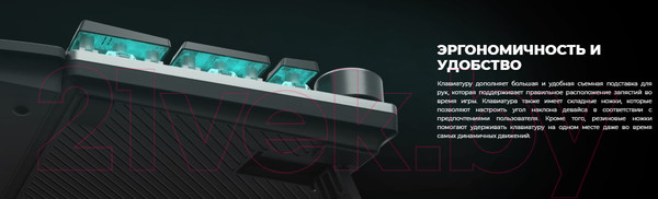 Изображение товара Клавиатура GENESIS Thor 400 RGB / NKG-1723 (нет кириллицы)