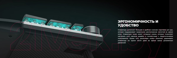 Изображение товара Клавиатура GENESIS Thor 401 RGB / NKG-1724 (нет кириллицы)