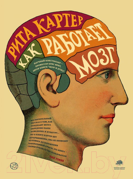 Изображение товара Книга АСТ Как работает мозг (Картер Р.)