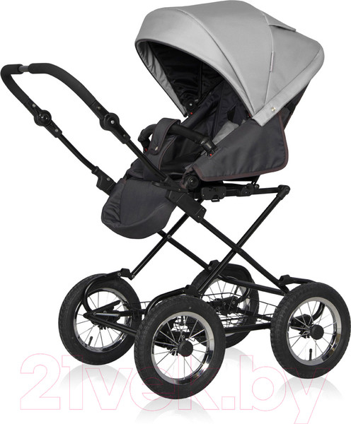Изображение товара Детская универсальная коляска Riko Basic Bella Classic 2 в 1 (01/серый/графит)