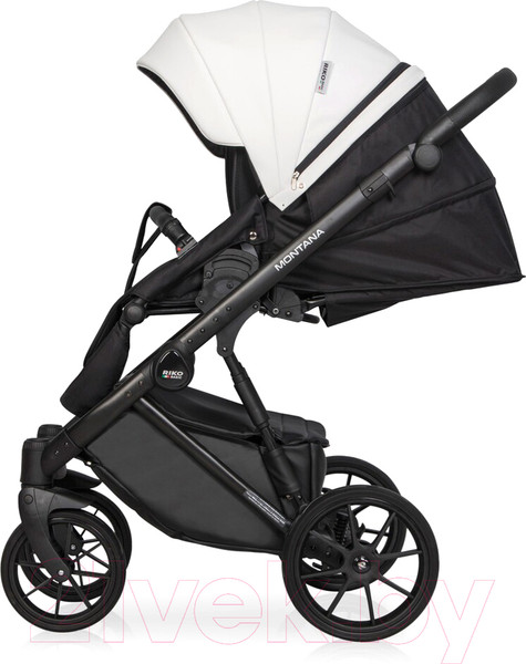 Изображение товара Детская универсальная коляска Riko Montana Ecco 2 в 1 (11/белый)