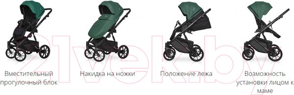 Изображение товара Детская универсальная коляска Riko Montana Ecco 2 в 1 (12/черный)
