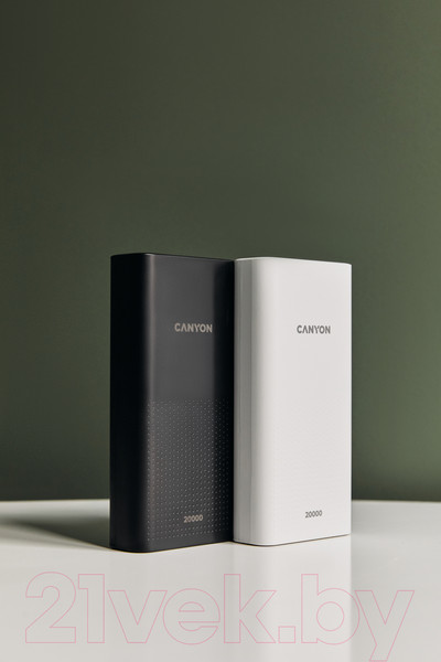Изображение товара Портативное зарядное устройство Canyon PB-2001 / CNE-CPB2001W
