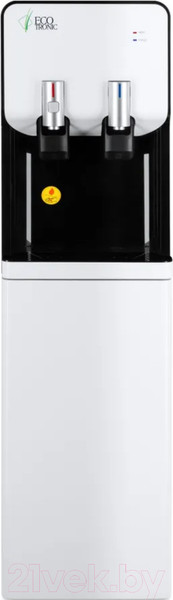 Изображение товара Пурифайер Ecotronic M40-U4L (белый/черный)
