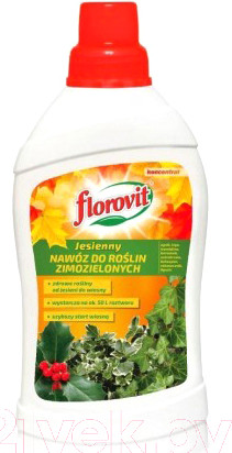 Изображение товара Удобрение Florovit Для зимозеленых растений осенний (1кг, жидкое)