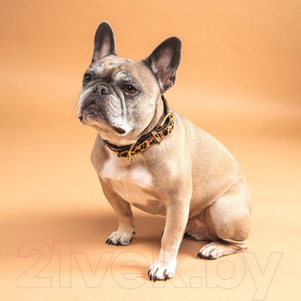 Изображение товара Ошейник Digby & Fox Сафари / 6645/LEOPARD/XXS (кожа/леопард)