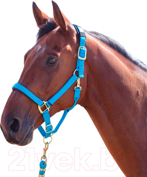 Изображение товара Недоуздок для лошади Shires Topaz COB / 387/BLUE/COB (голубой)